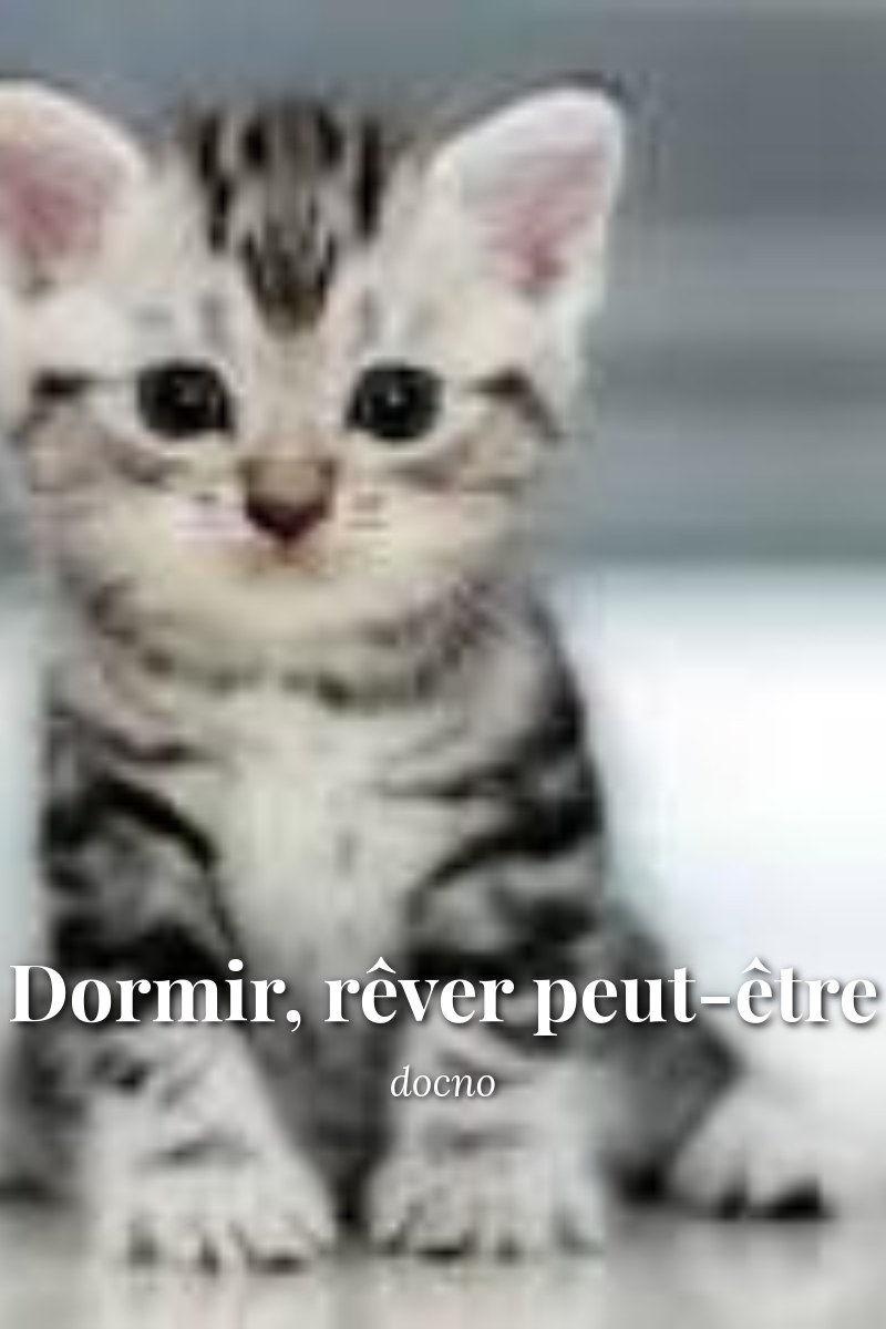 Dormir, rêver peut-être