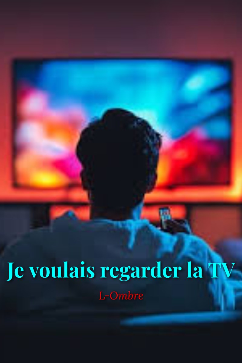 Couverture — Je voulais regarder la TV