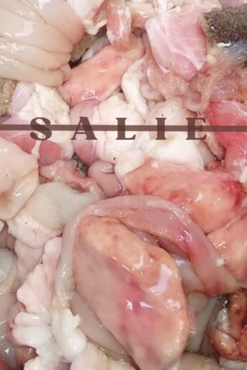 Couverture — SALIE
