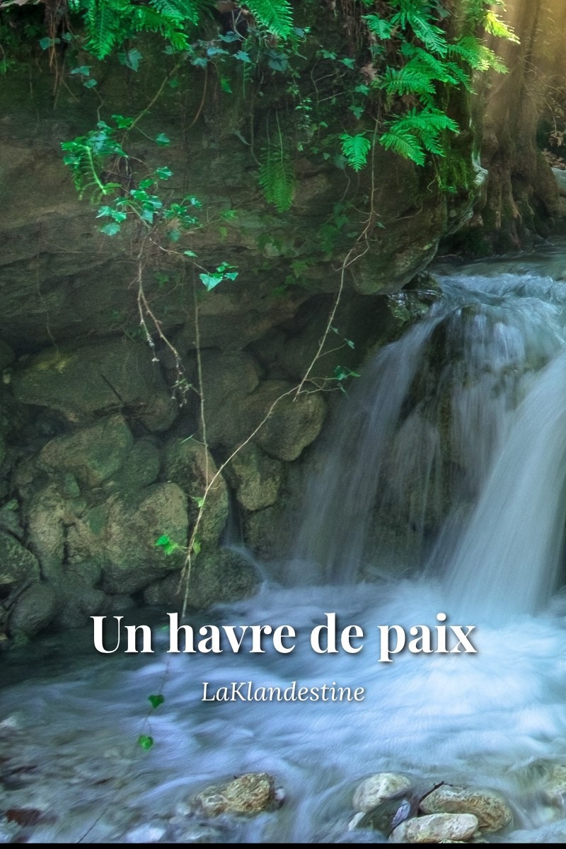 Couverture — Un havre de paix