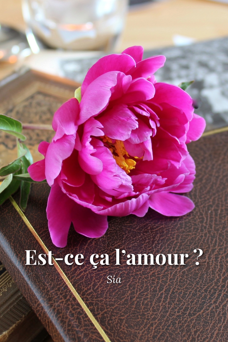 Est-ce ça l’amour ?