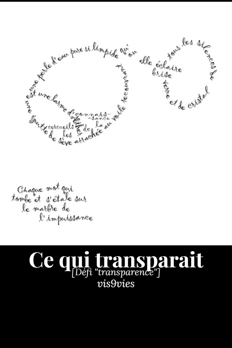 Couverture — Son envers en vain d'6