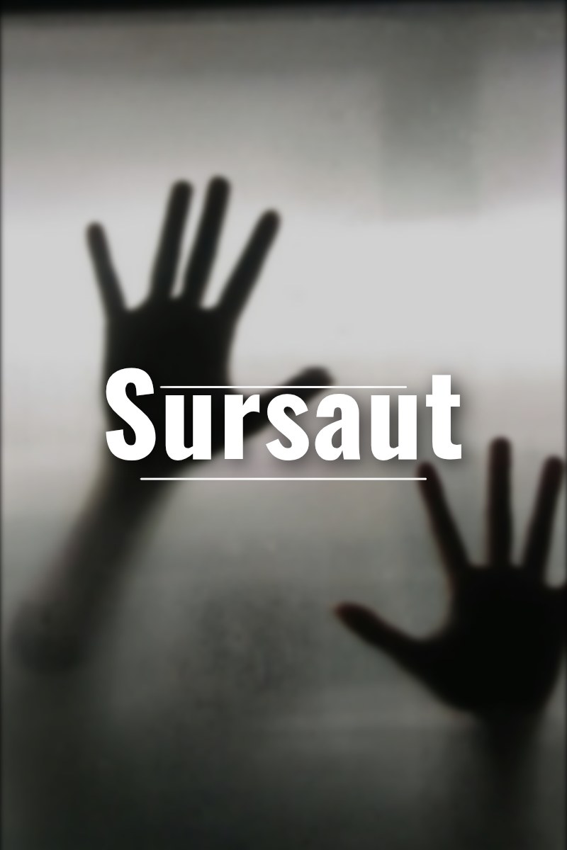 Couverture de Sursaut